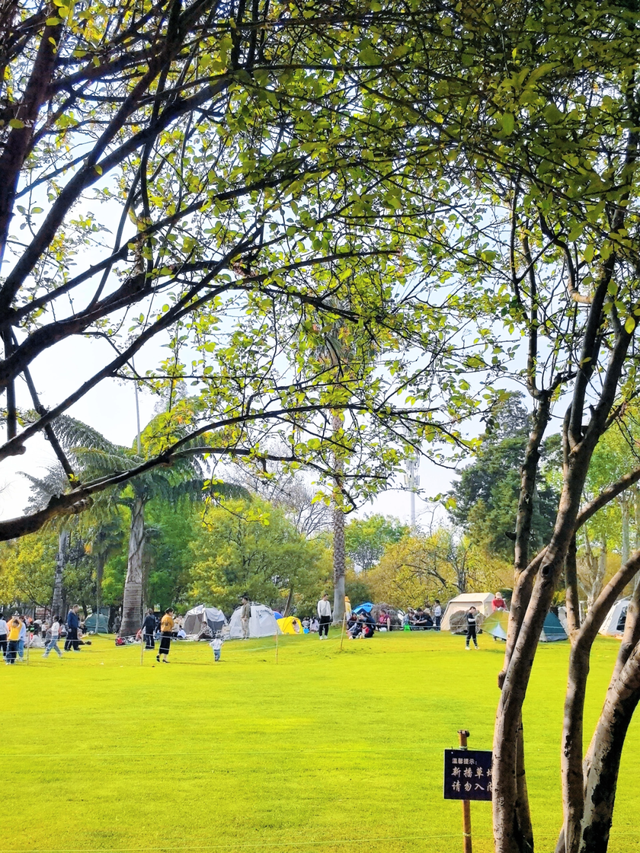 昆明秋日宝藏公园，每一个都“美到心巴”！