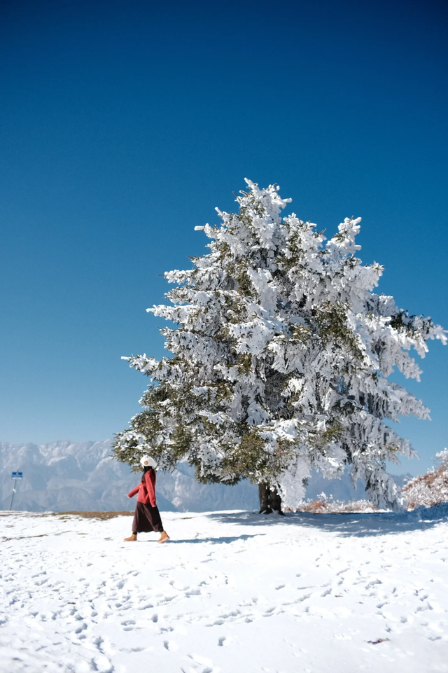 看！我就说汶川的冬天超好玩吧