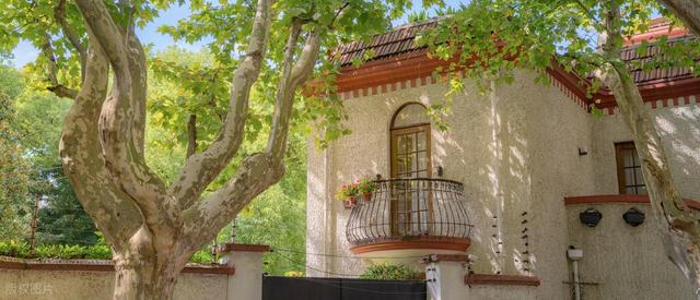 最新资讯-我是北京人，去了次上海市后发现：魔都跟其他城市纷歧样的10个点(23)