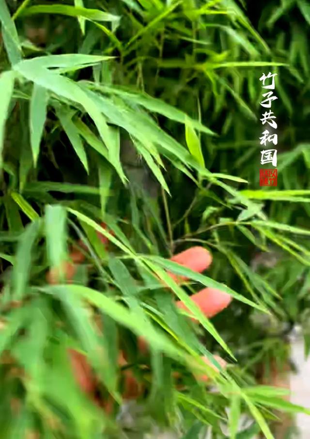 不要再去看黄果树瀑布了！