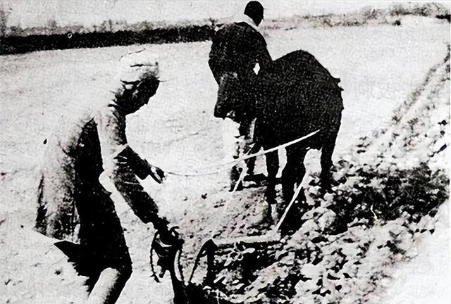 她从大队书记到中央候补委员，84年被开除党籍，退休后住进深山中