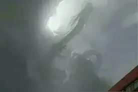 关于龙的真相，被真实拍到的画面图片