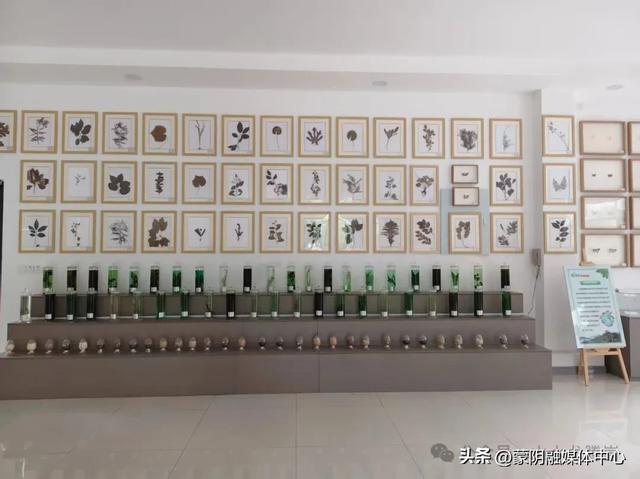 十一双节福利！蒙阴县龙腾崮景区免门票、展馆免费开放！