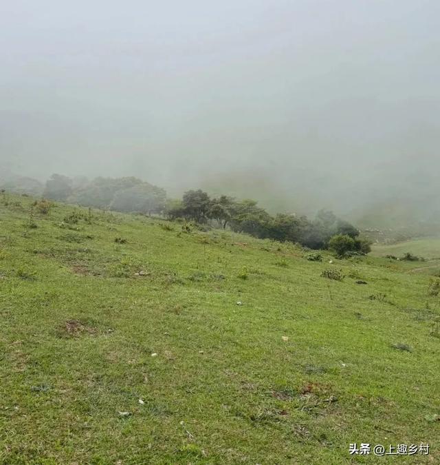 五一“逃跑”计划：去乡村，见天地！