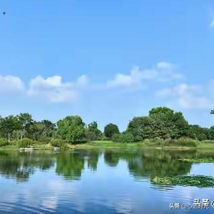没看错吧？头条上有103万的粉丝，是如何做到的