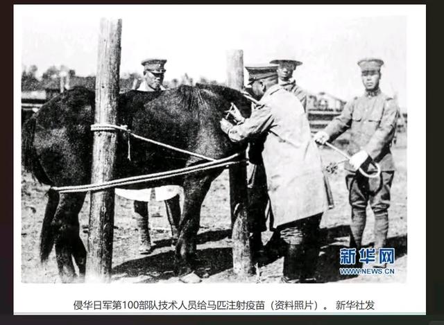 731的“恶魔孪生兄弟” 100部队