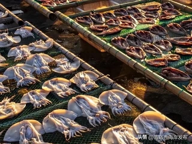 周五，西海岸这个海边开“嗨”！