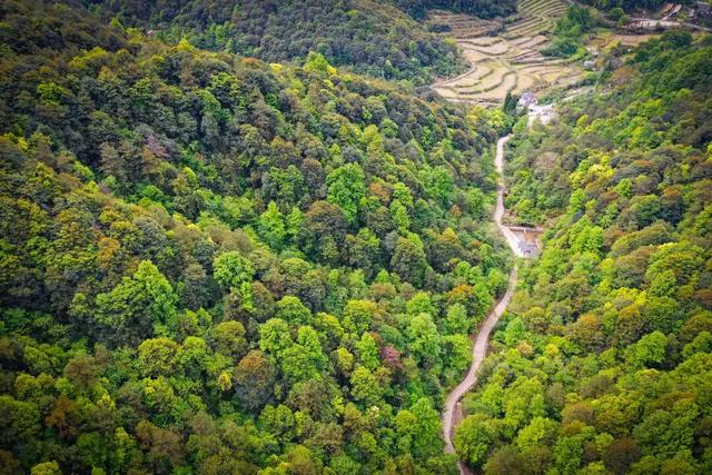 富阳3条古道，全省出名了！经过你们村吗？