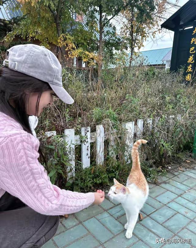 张含韵的旅行太馋人！额尔古纳撸串，恩和炫俄餐，看饿了