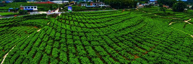 四川省高县历史沿革及行政区划