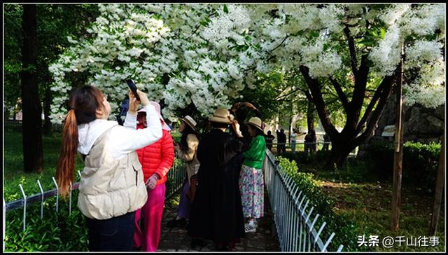 银絮伴轮行：美利达狼8，180公里薛城→济宁戴庄医院流苏探访评测