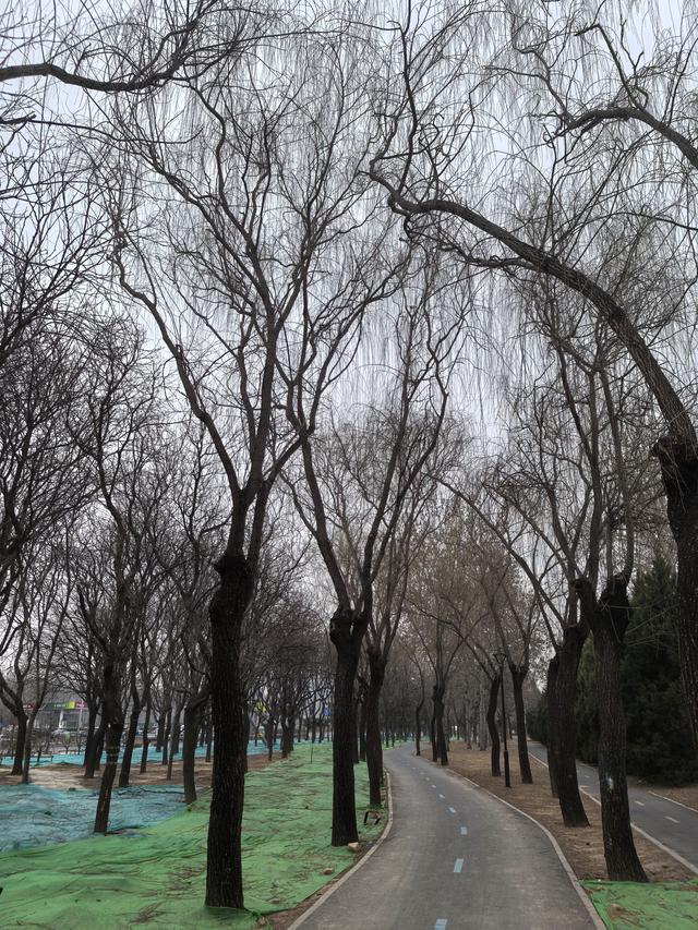 京都春寒中的感受