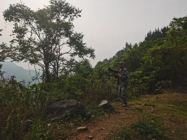 监守自盗! 2024年, 湖北一护林员在山里架980米电网, 冰柜中搜出肢体