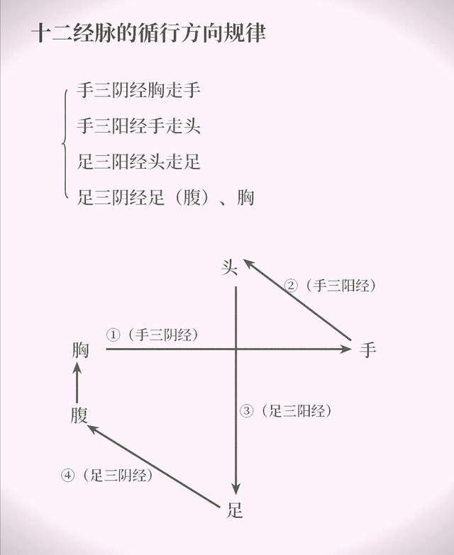神秘的中药“药引子”到底是什么东西？