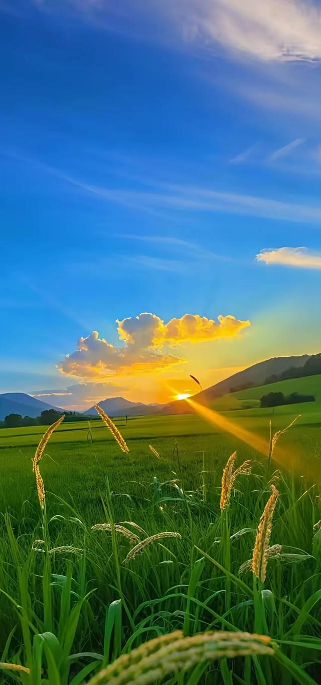 #治愈系风景 #全屏高清手机壁纸
