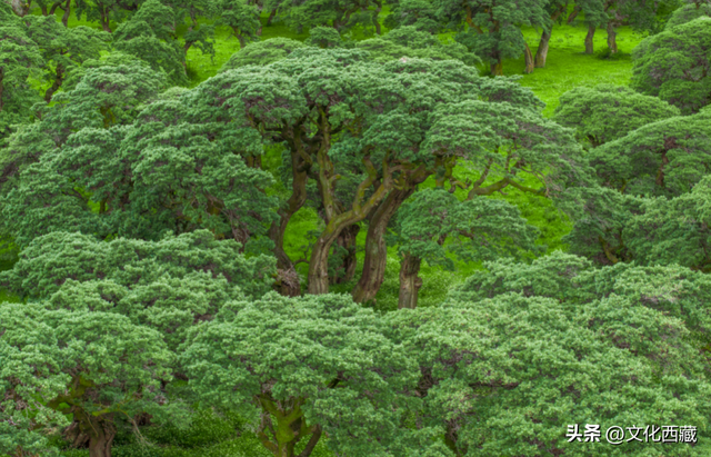 一文掌握西藏旅行！全景资源地图出炉，玩出新高度！