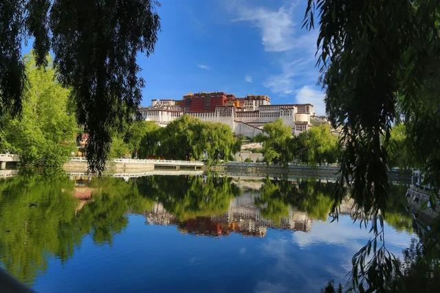 在离天最近的地方，谈一场永不分离的恋爱