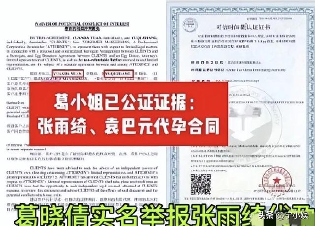 何止代孕！张雨绮被扒了老底，王宝强的话终于有人信了