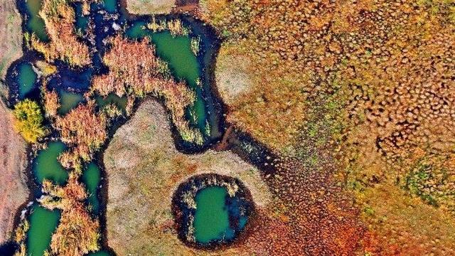内蒙古杭锦旗：湿地秋景惹人醉