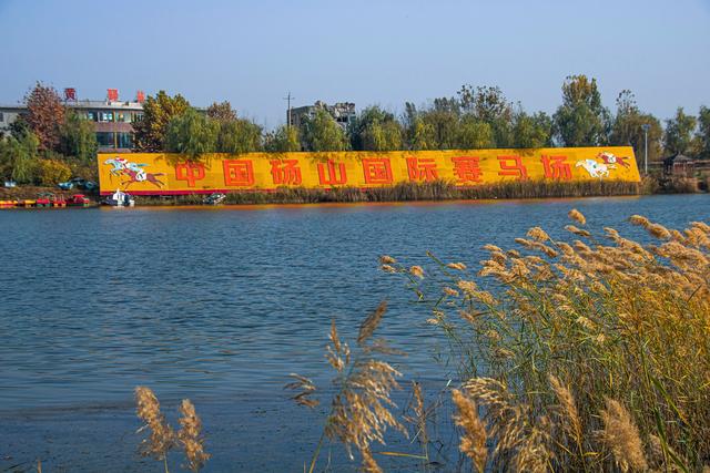 宿州黄河故道，被泥土封存的记忆，秋天充满诗意，是休闲游好去处