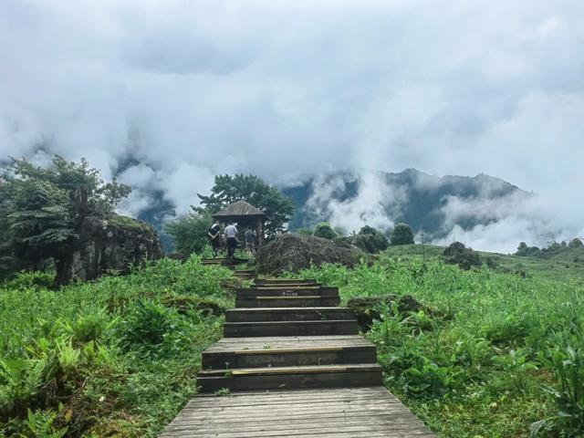 天地藏秋意,清风拂落叶 | 秋分将至,黑竹沟景区静待你的赴约~