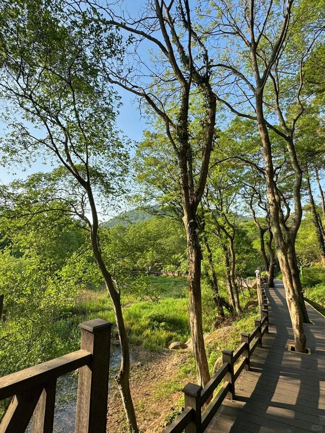这是我认为南京最松弛的公园，被誉为“小瑞士”，吸氧遛娃能玩水