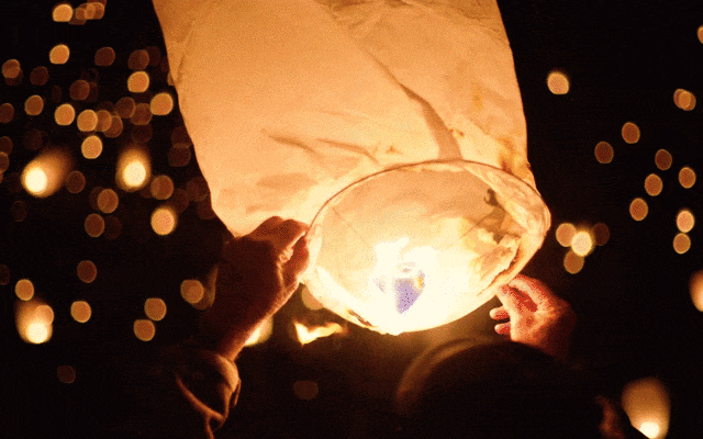 官宣！12月31日见！