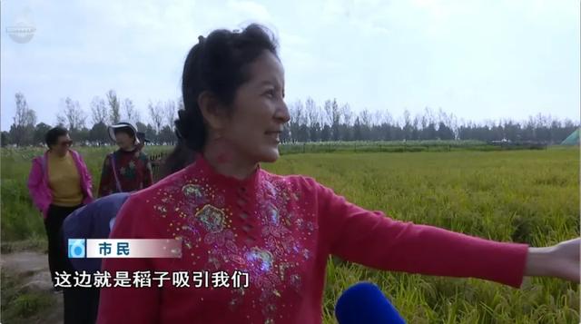 快码住！这里藏着秋日童话世界，出片率100%