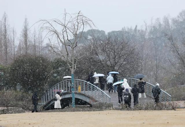 上海全城追雪！朋友圈和校园里彻底沸腾！零下6℃要来了，赏雪打卡还有机会