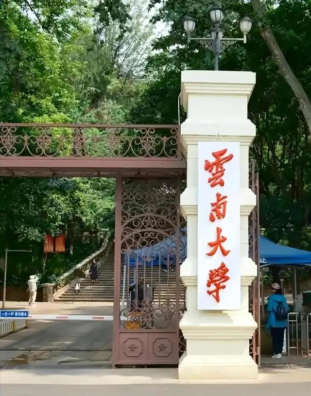 “不录取又何必羞辱我”！女孩被云南大学3字劝退，瞬间破防大哭