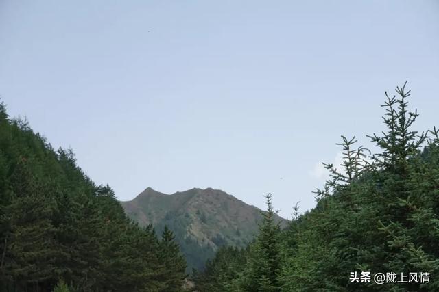 哈思山,靖远人灵魂的栖息地(平之)