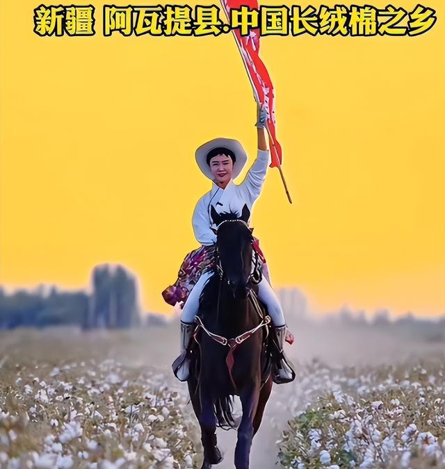 47岁贺娇龙去世！同学曝抢救过程，网友提醒成真	，此前疑早有征兆