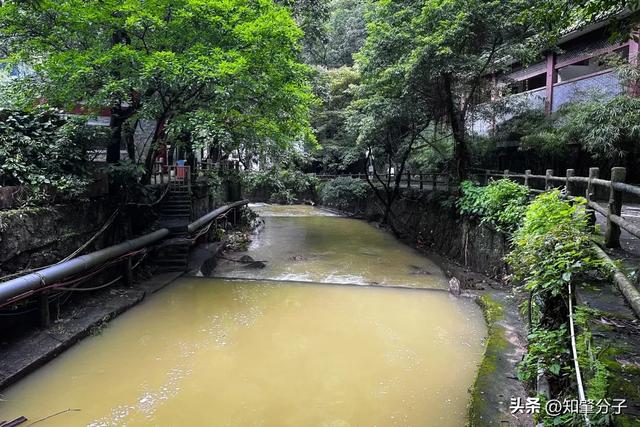 肇庆鼎湖山景区最新情况如何？预计重新开放时间是→