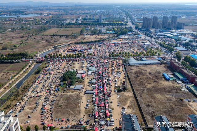 临沭曹洼大集的热闹，烟火气里藏着文旅新密码