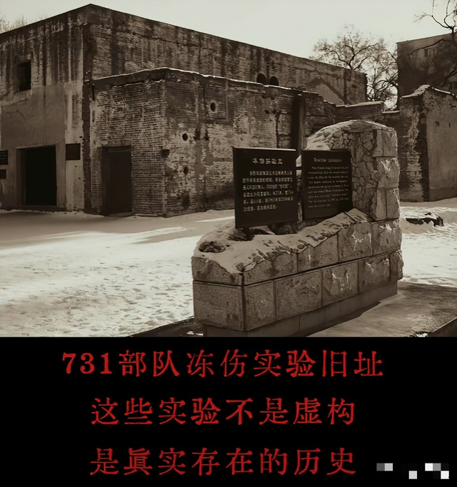 《731》上映不到24小时	，口碑迎来两极化！观众给出理由出奇一致