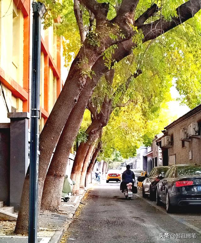 城市街巷记：北京，史家胡同与史家胡同博物馆