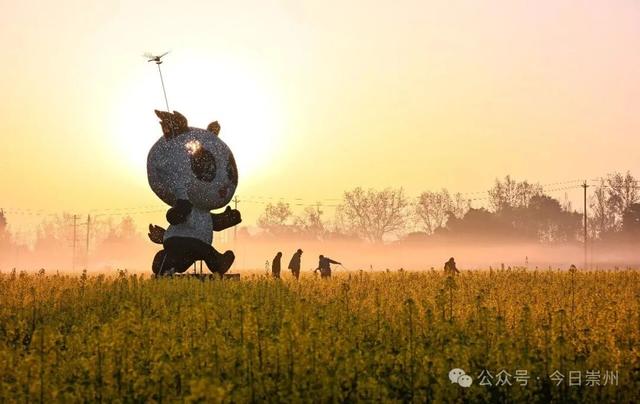 把春天煮进火锅里！崇州的花田火锅点位分布在这里↓