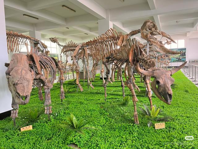 临沂冬日好去处！这8个室内宝地，颜值与温度并存！