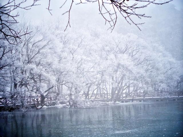 又来？这样的随州，你见没见过？