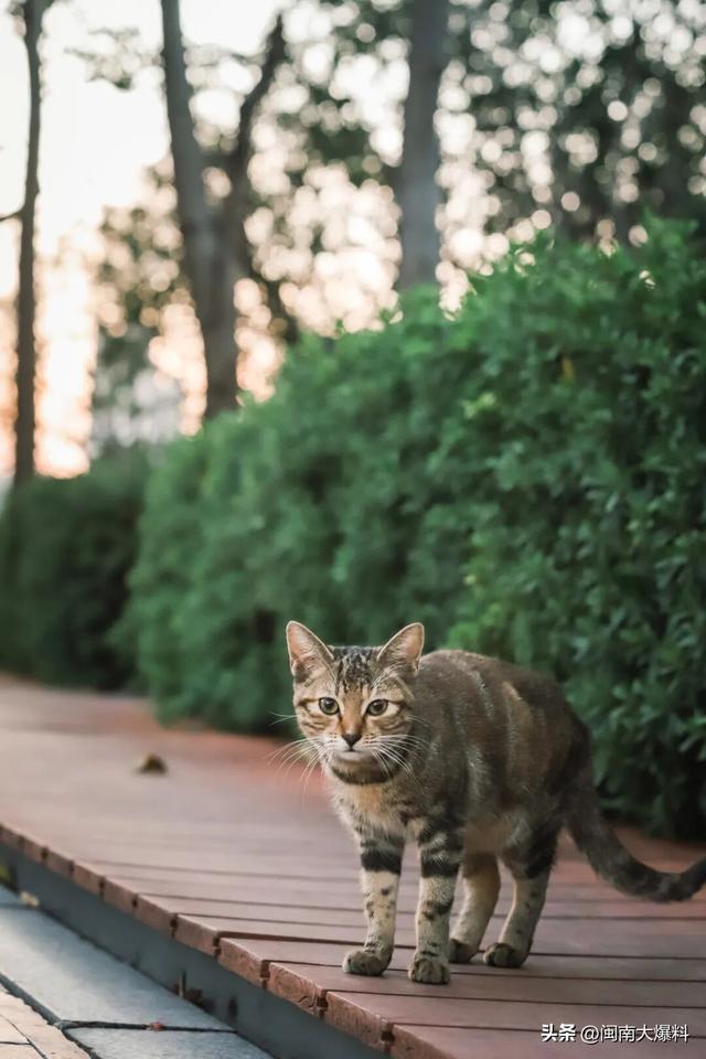 冬日暖阳里，来丰泽这儿享受惬意时光