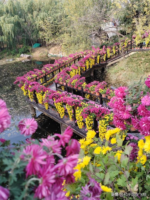 开封万岁山武侠城之约