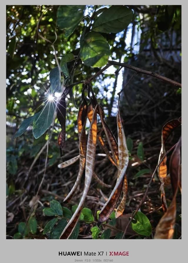 3000元买手机纠结症，拍照续航性能全都要，这份攻略让你不再被坑