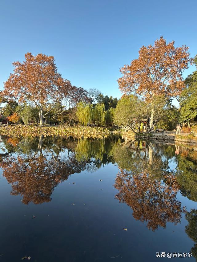 沪上园林古猗园已达颜值巅峰
