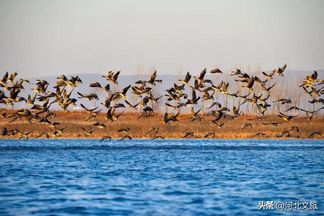 秋天的溢泉湖流光溢彩，将浪漫与温馨装满