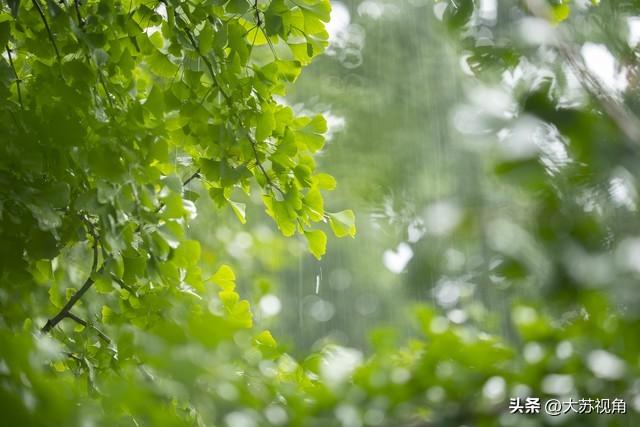 江苏周末好天气！雨停风轻宜出游，这份“穿衣+打卡”攻略请收好
