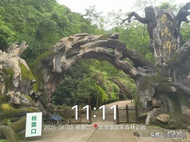 温州这个亲子游玩胜地、植物自然课堂孩子玩嗨家长不累