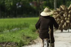 父亲的最后一站图片