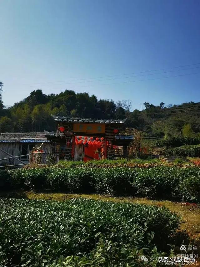 东海最具仙气的一座山,有“海上仙都”之美称,对驴友很友好!