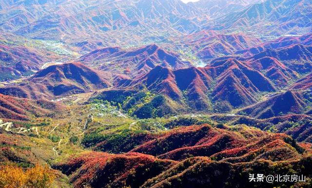 诚邀您共赴一场焕活身心的“森”呼吸之旅!