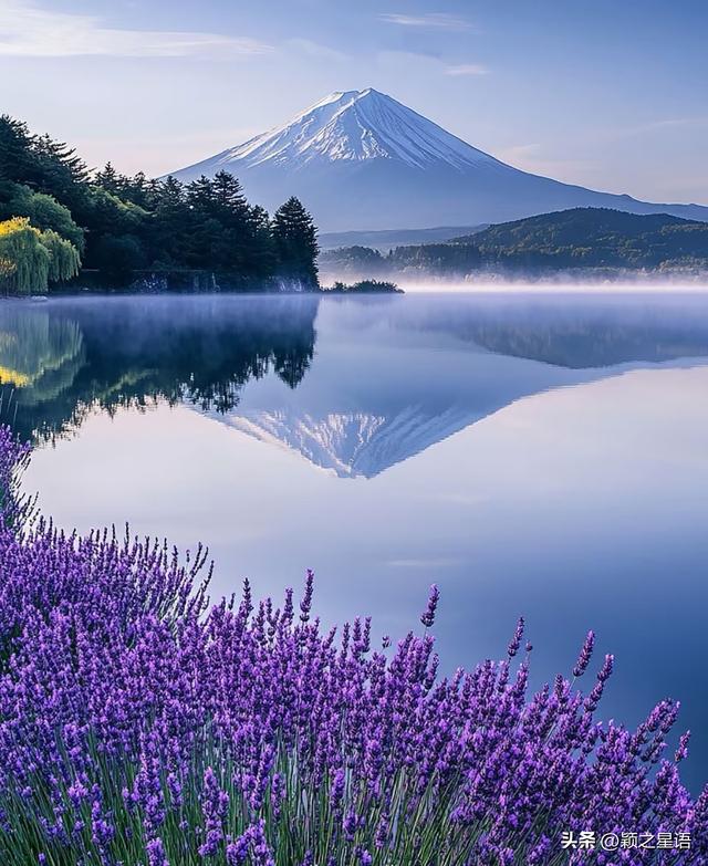 富士山下河口湖，中国商人入籍日本之梦破碎